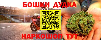 прущие крисы Дубна
