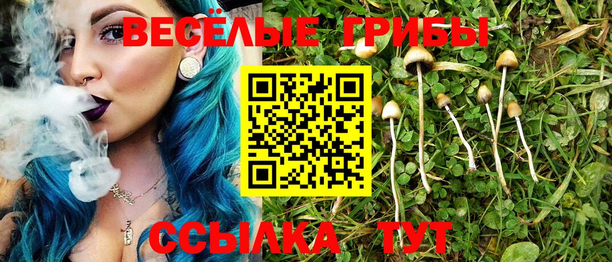 Галлюциногенные грибы ЛСД  Вход с VPN  наркотики  Карасук  Галлюциногенные грибы GOLDEN TEACHER 